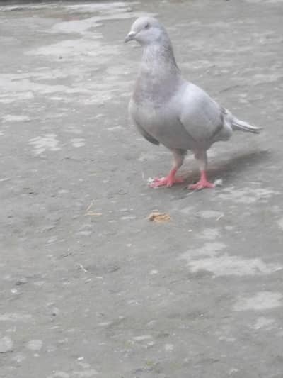 ivvjvjbjbj j know know kbibipvuvubjbu