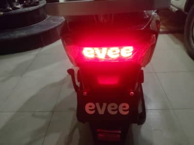 model evee  genz  brand new