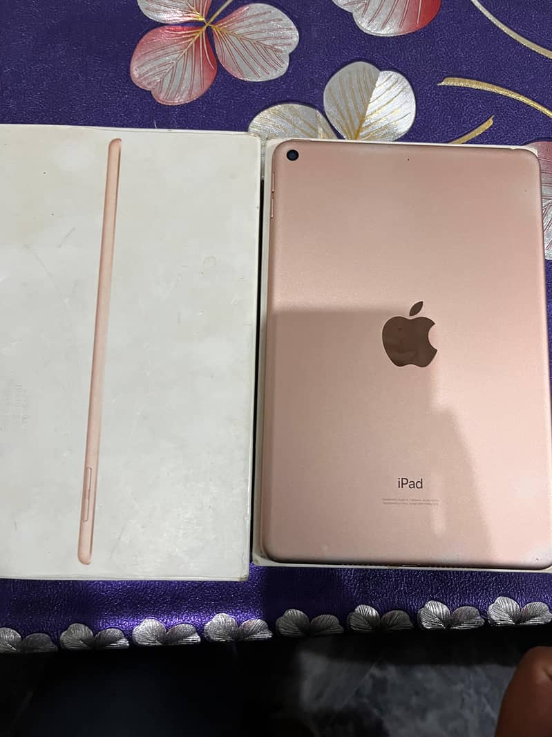 Ipad mini 5 0