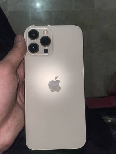 iPhone 12 pro max golden 10/10