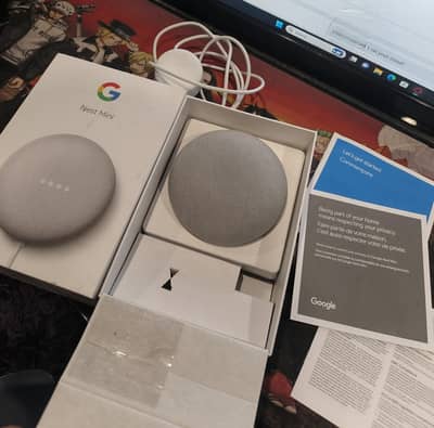 Google Nest Mini