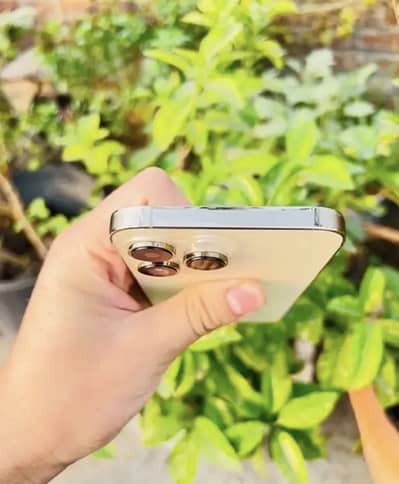 iPhone 14 Pro Max 100% Health 10/10 Condition