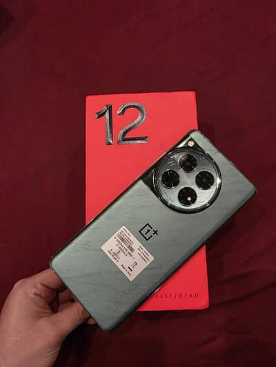 One plus 12 PTA Approved official