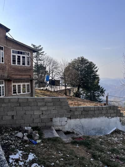 Home helper who can drive a car or motorcycle