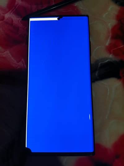 Samsung not 20 Ultra.  12.256.