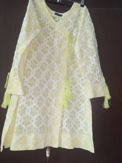 Lightly Used Designer Kurti with Inner Lining – Premium Fabric