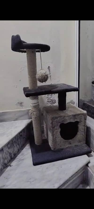 m selling big iron cage ,cat house,liter tray ,nail cutter, grooming