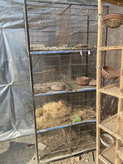 Cage available all cage for sale