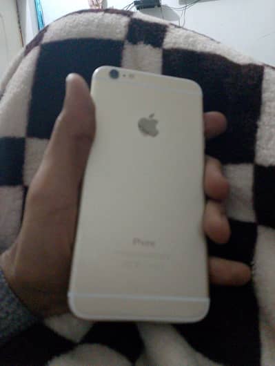 official pta approved