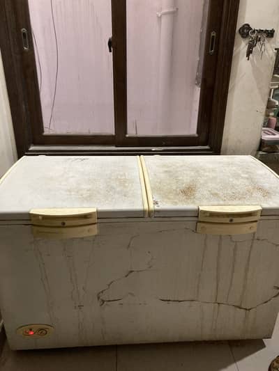 D freezer 2 door waves