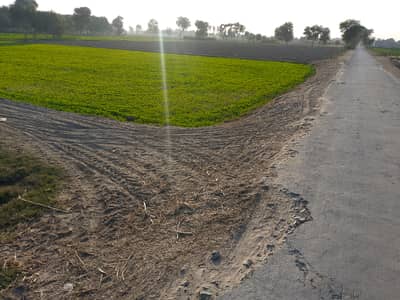 36 Kanal Agricultural Land For Sale