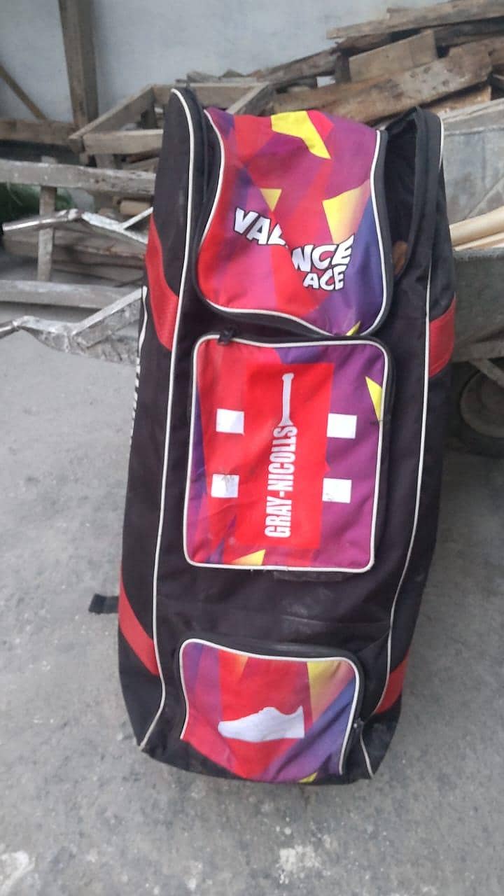 cricket  accessories 3