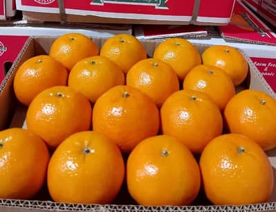 premium export quality 10 kg box 2000 pkr with free home delivery