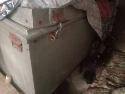 Pati 6 ft ki h loking new