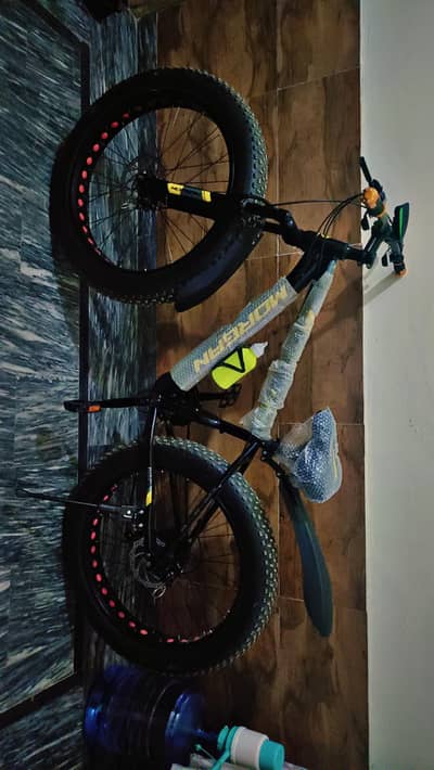 Morgan Snow Bicycle (Fat Tyre)
