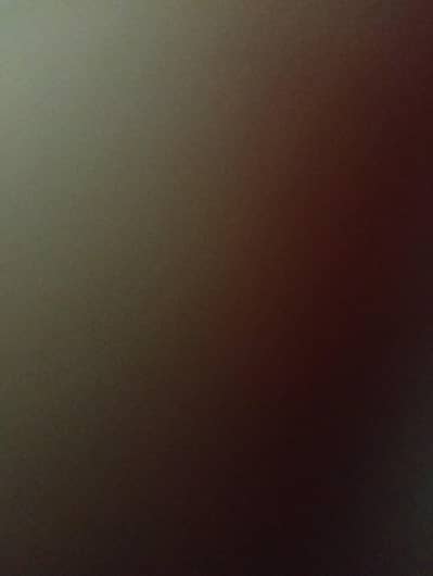 female assistant / Secretary