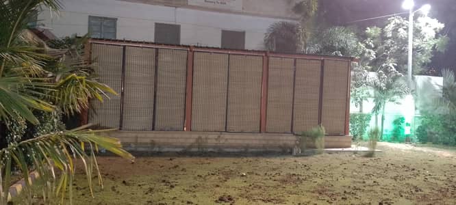 bamboo blinds chicks