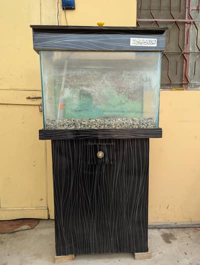 fish aquarium for sale