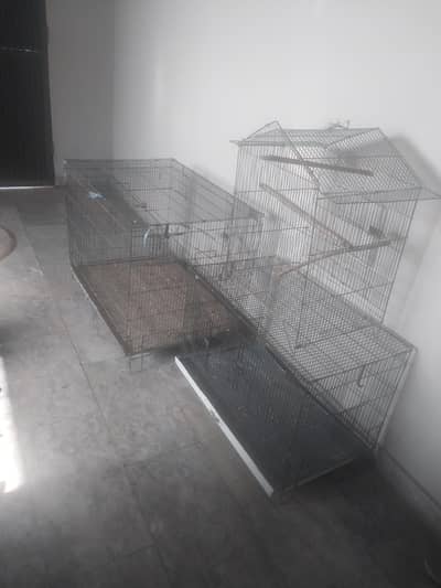 goldian +3 cages +1 big cage+1 small cages  free
