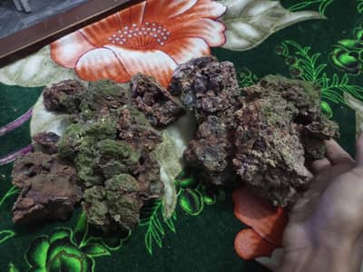 rocks for decorations