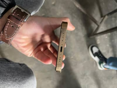 Iphone 12 pro Pta approved