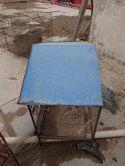 cage for sale