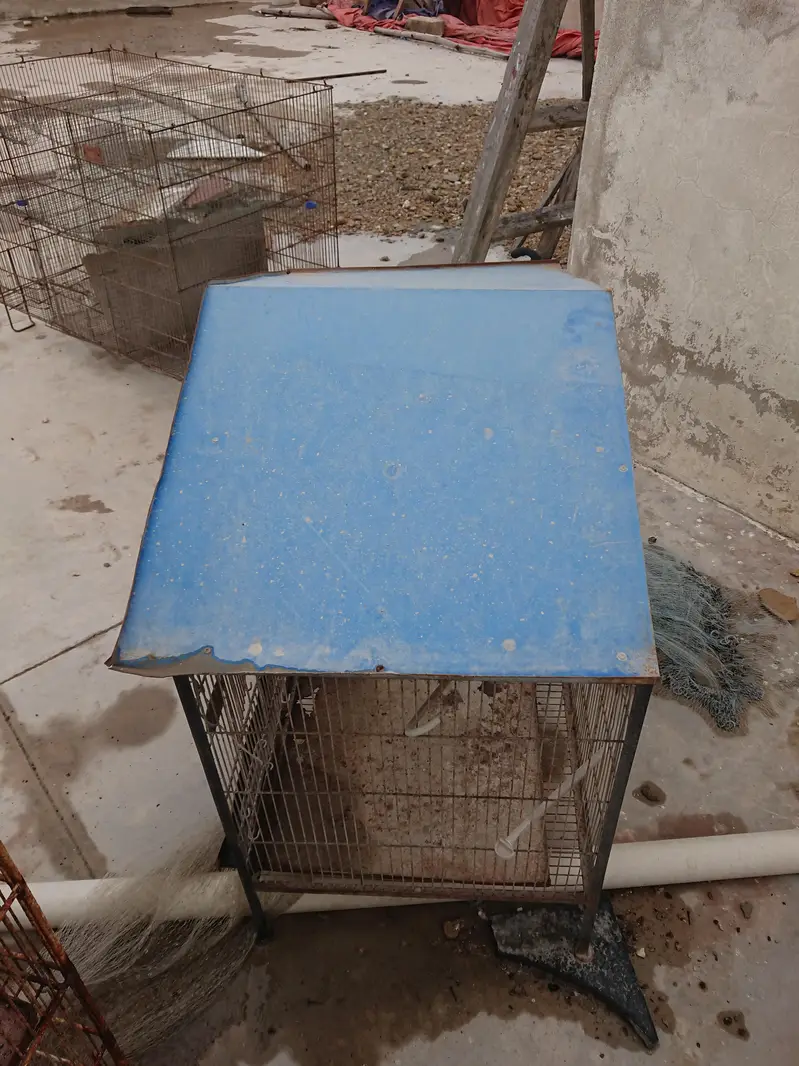 cage for sale