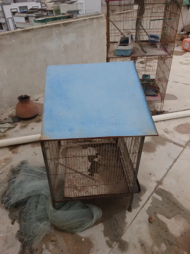 cage for sale — photo 2