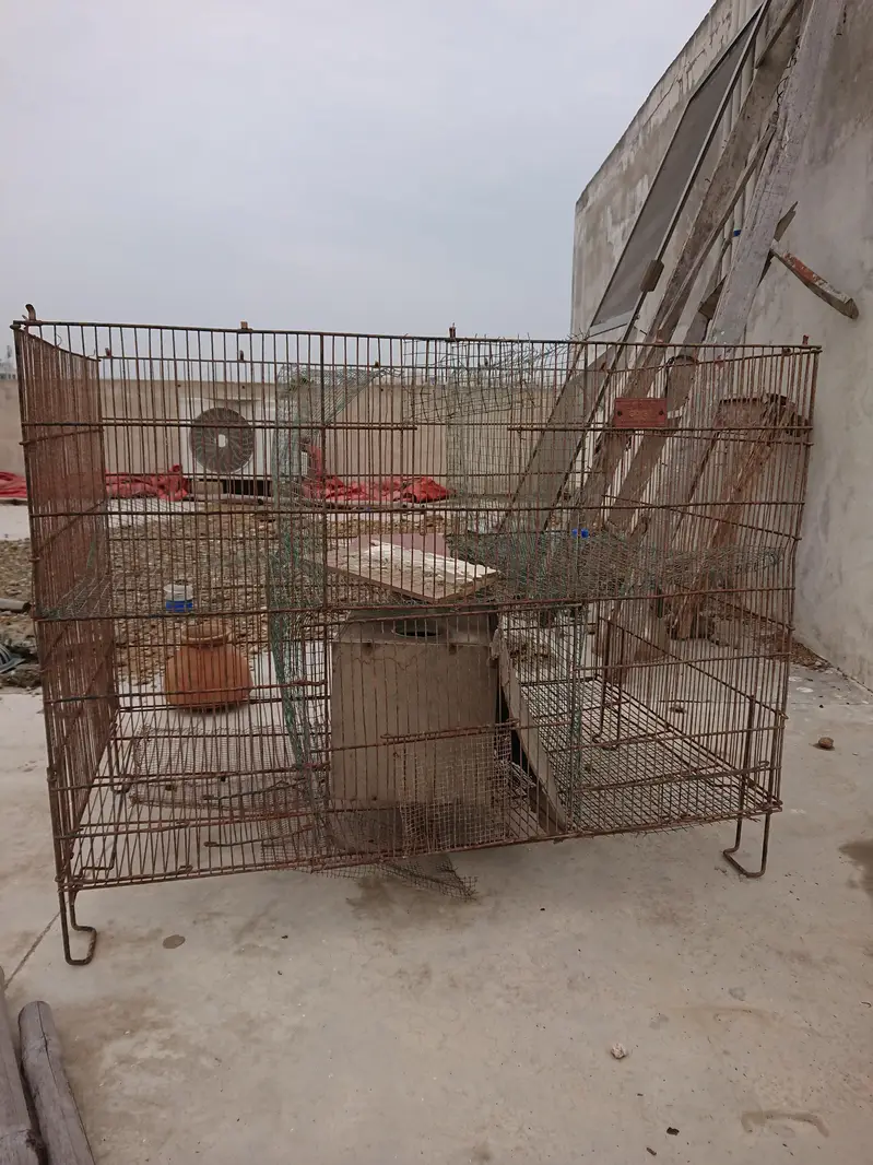 cage for sale — photo 3