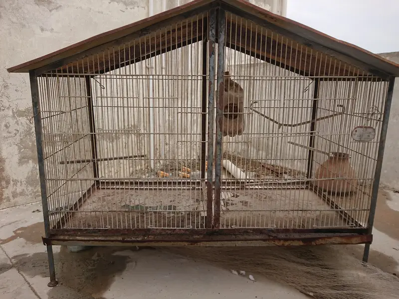 cage for sale — photo 4