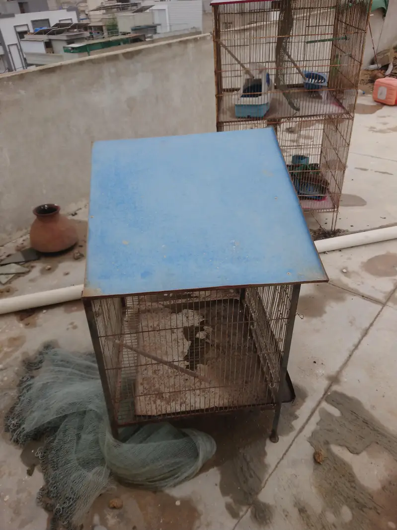 cage for sale — photo 5
