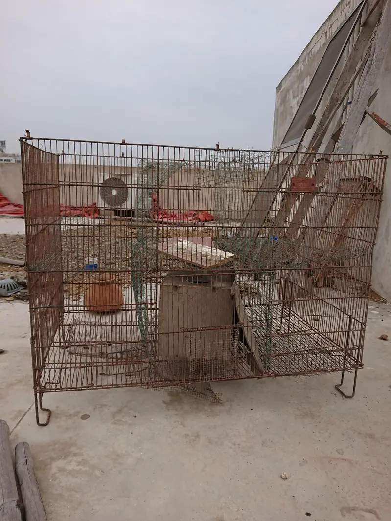 cage for sale — photo 6