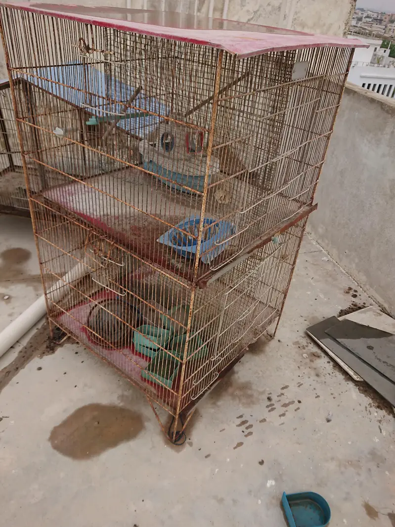 cage for sale — photo 7