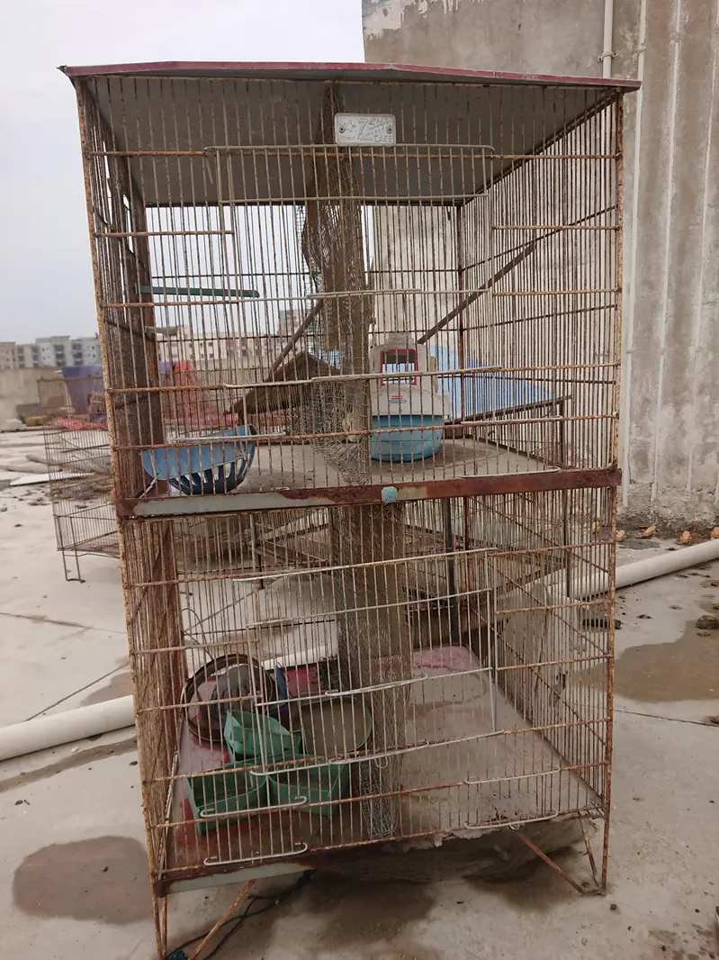 cage for sale — photo 8
