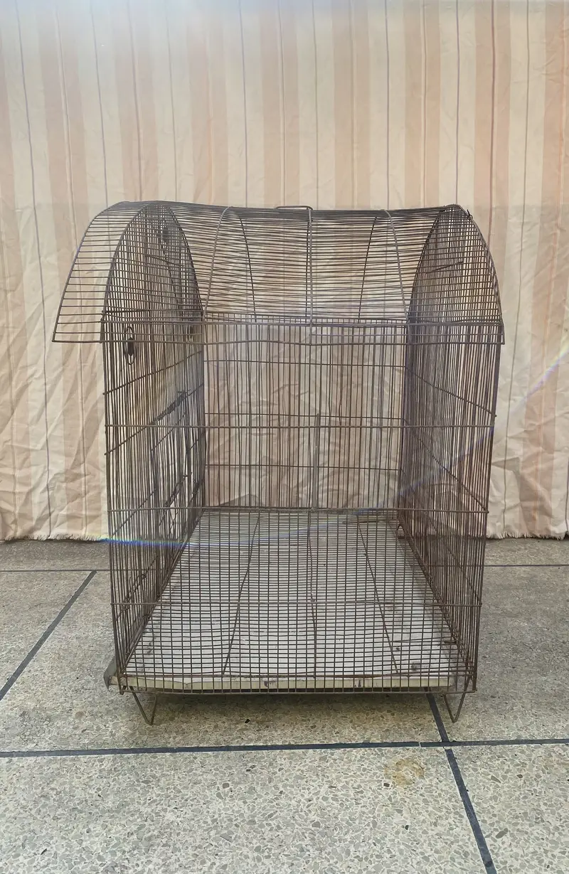 Iron cage — photo 3
