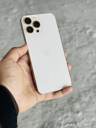 Iphone 13 pro max pta official 10.10