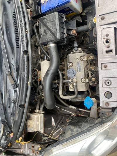 Urgently Prince Pearl for Sale