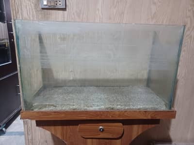 fish aquarium  and 3 fishes urgent sale