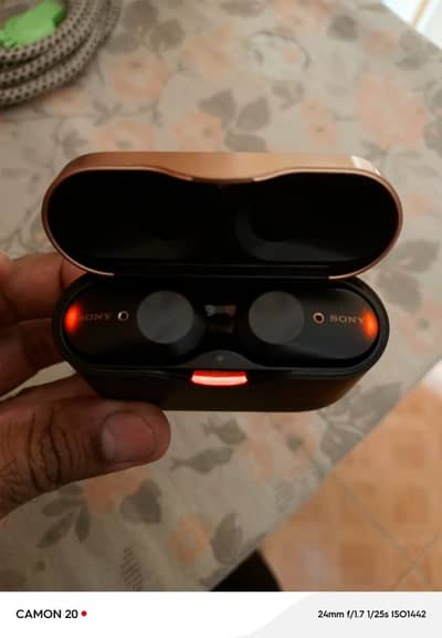 Sony earbuds original