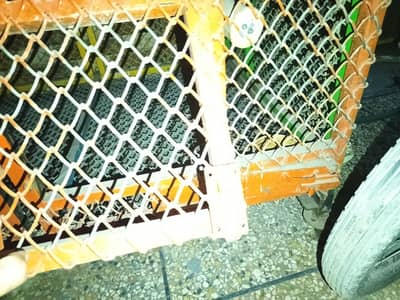 cage for big parrots