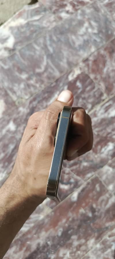 iPhone 12 Pro Max pta approved