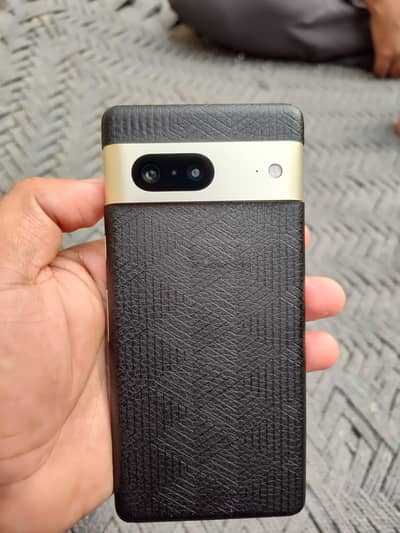 google pixel 7 03137207819