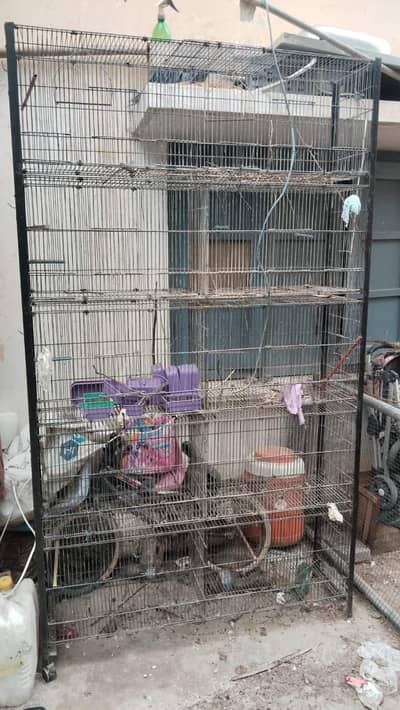 parrot cage urgent for sale