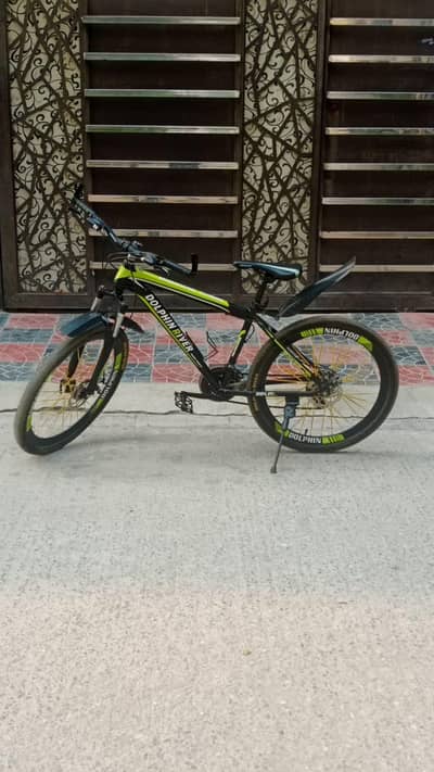 dolphin river mountain bike