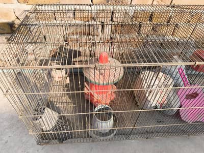 Birds/Hens large size Cage Pinjra for sale