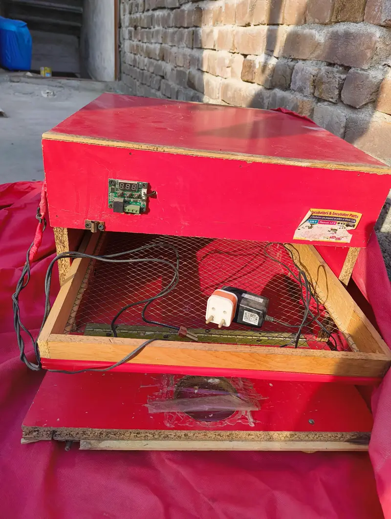 50-eggs incubator for sale — photo 2