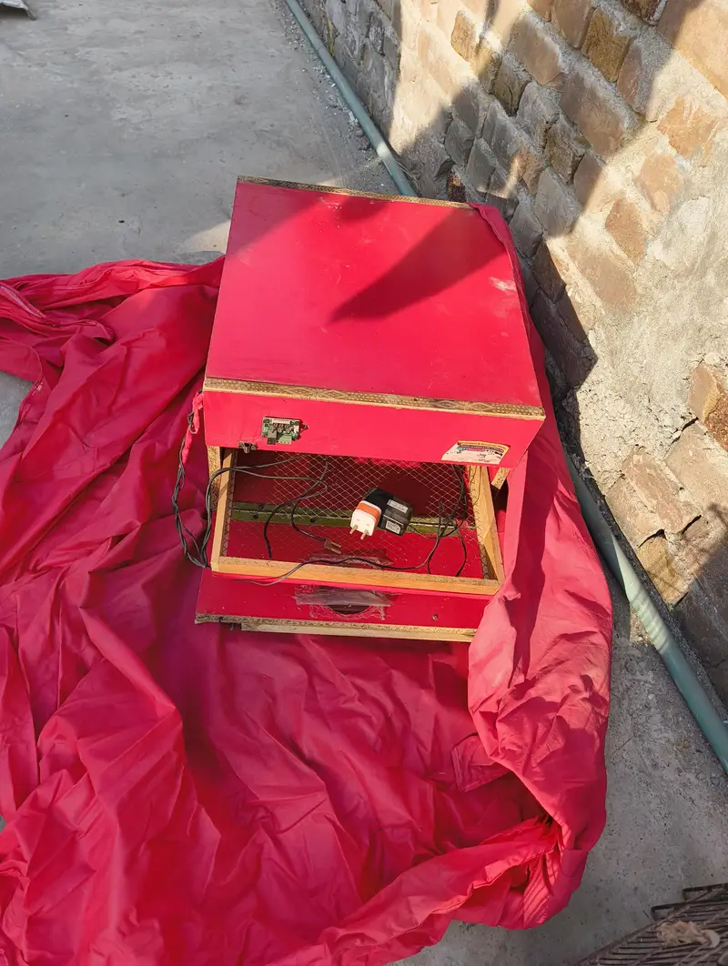 50-eggs incubator for sale — photo 3