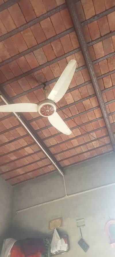 arjant sale karna hy only siras contect me