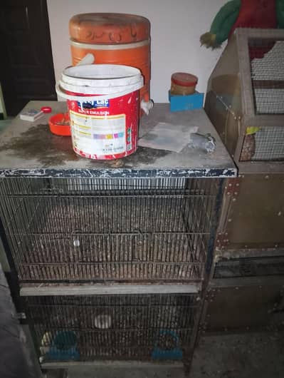 2 Double Iron Cages and 1 big fiber iron cage with parrots