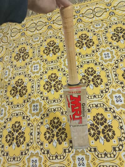 hardball cricket  bat